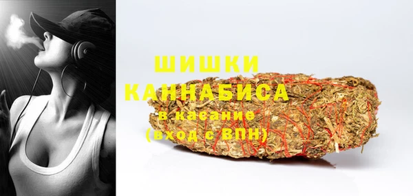 гашик Карпинск