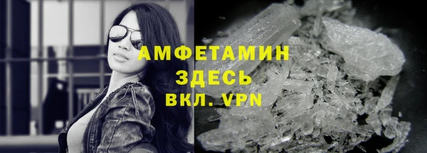 гашик Карпинск
