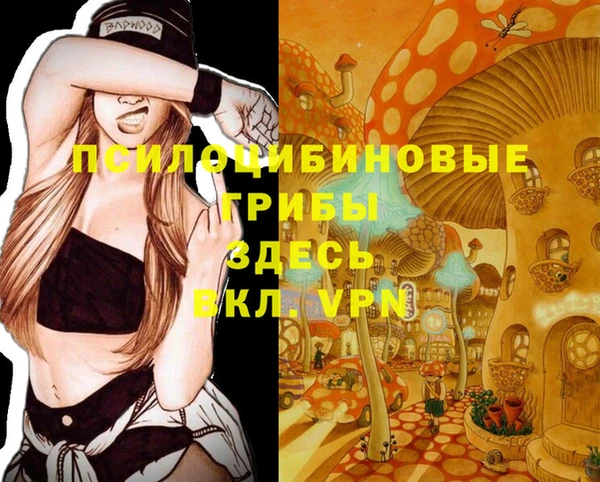 гашик Карпинск