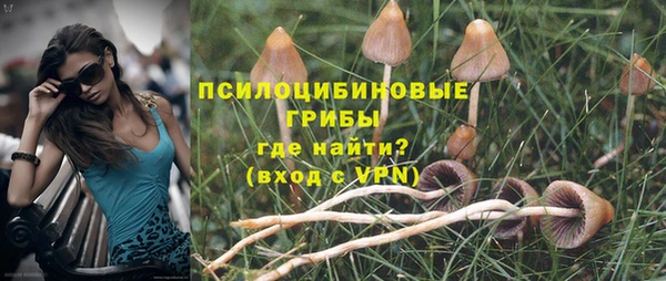 MDMA Premium VHQ Карталы