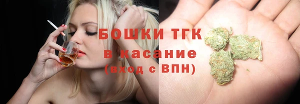 гашик Карпинск