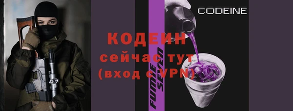 гашик Карпинск