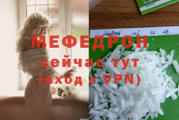 гашик Карпинск