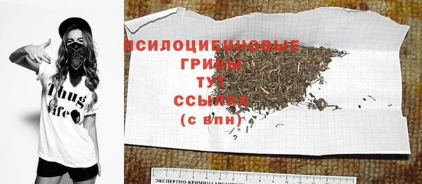 ПСИЛОЦИБИНОВЫЕ ГРИБЫ Кинешма