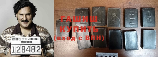 гашик Карпинск