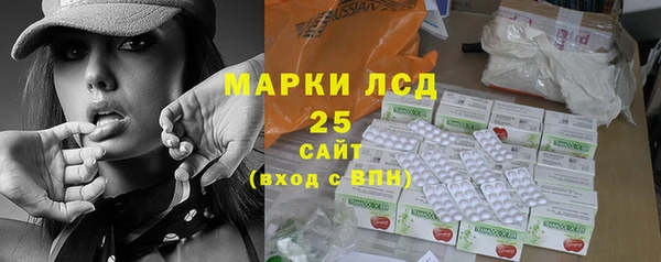 PSILOCYBIN Киренск