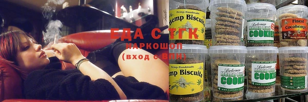 гашик Карпинск