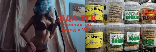 гашик Карпинск