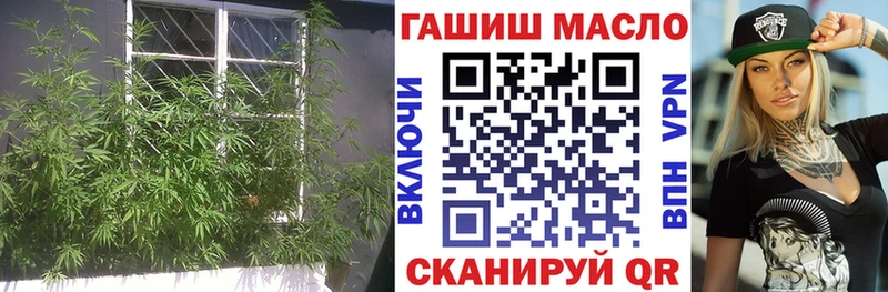 Дистиллят ТГК гашишное масло Иннополис