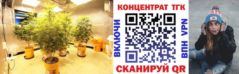 Дистиллят ТГК Wax  Купить где  Иннополис 