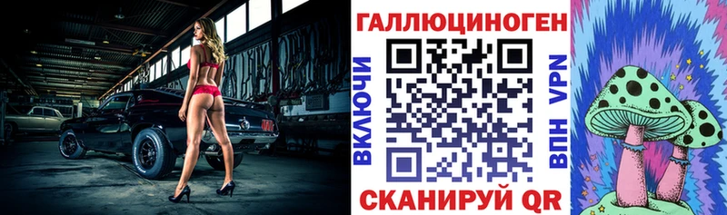 Псилоцибиновые грибы Psilocybe  Купить закладки  Иннополис 