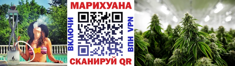 Купить где  Иннополис  МАРИХУАНА планчик 